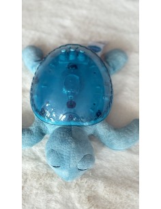 Tranquil Turtle 2