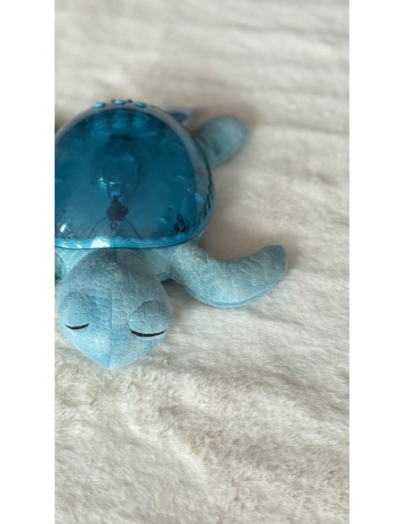 Tranquil Turtle
