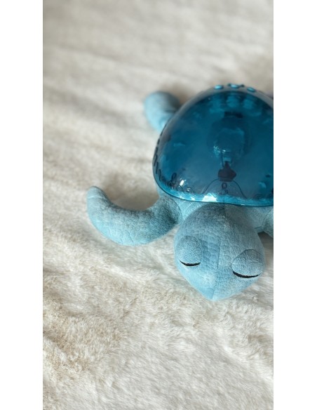 Tranquil Turtle