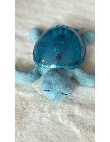 Tranquil Turtle