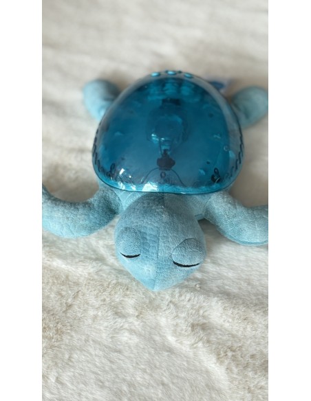 Tranquil Turtle